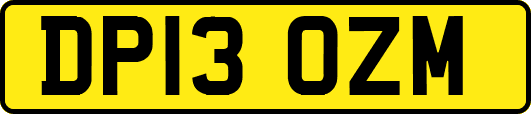 DP13OZM