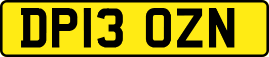 DP13OZN