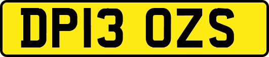 DP13OZS