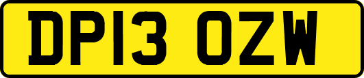 DP13OZW