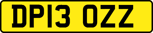 DP13OZZ