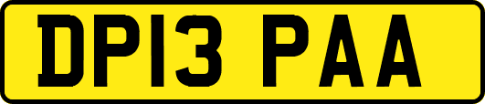 DP13PAA