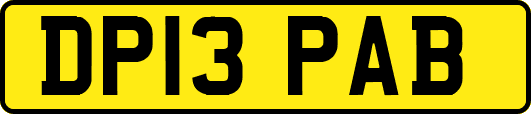DP13PAB