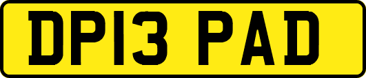 DP13PAD
