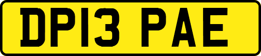 DP13PAE