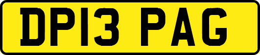 DP13PAG