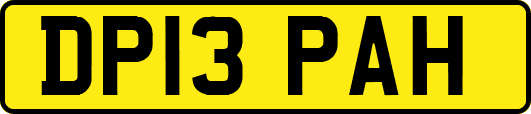 DP13PAH