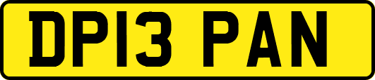 DP13PAN