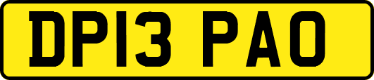 DP13PAO
