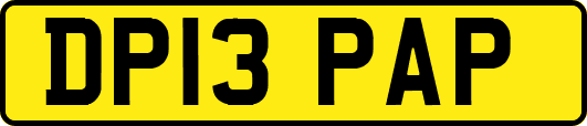 DP13PAP