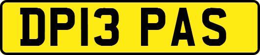DP13PAS