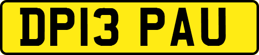 DP13PAU
