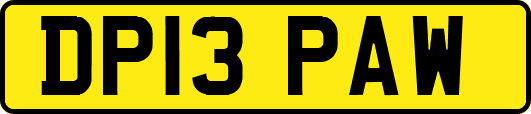 DP13PAW