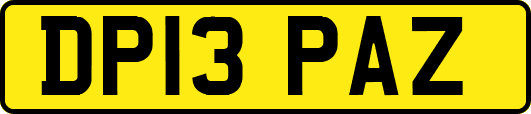 DP13PAZ