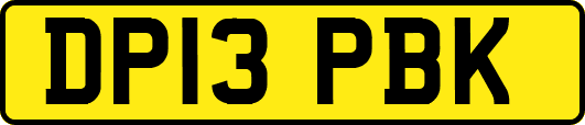 DP13PBK