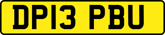DP13PBU