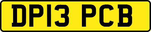 DP13PCB