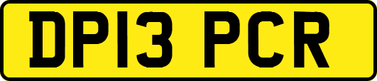 DP13PCR