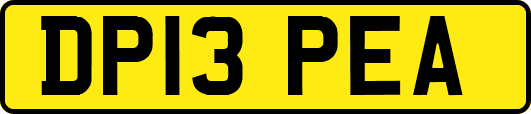 DP13PEA