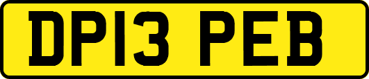 DP13PEB