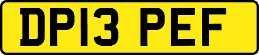 DP13PEF