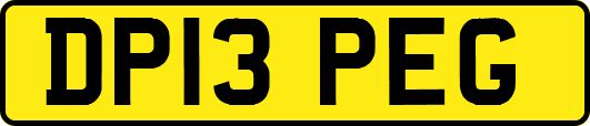 DP13PEG