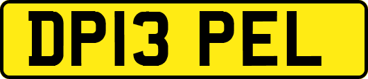 DP13PEL
