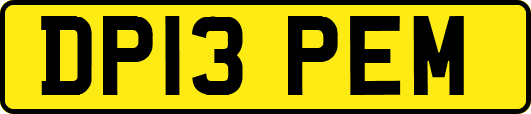 DP13PEM
