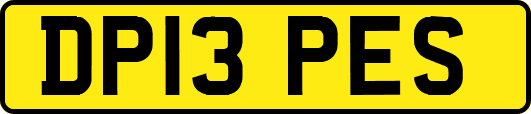 DP13PES