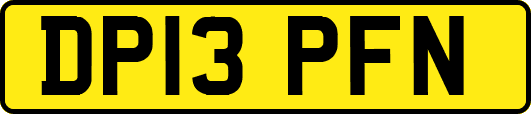DP13PFN