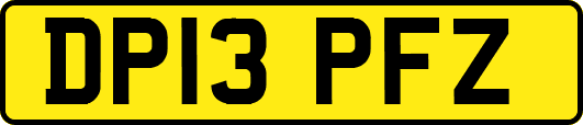 DP13PFZ