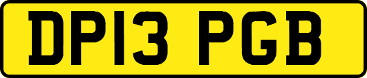 DP13PGB