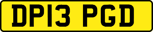 DP13PGD