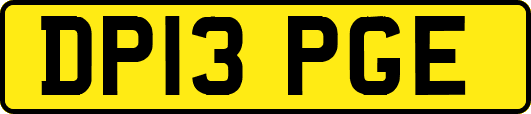 DP13PGE