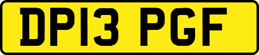 DP13PGF