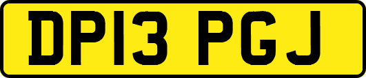 DP13PGJ