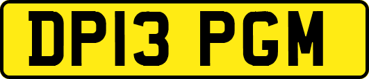 DP13PGM