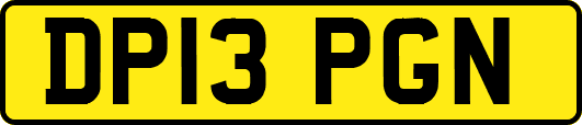 DP13PGN