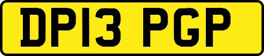 DP13PGP