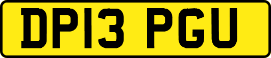 DP13PGU