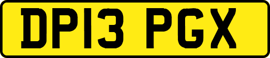 DP13PGX