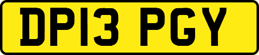 DP13PGY