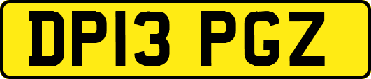 DP13PGZ