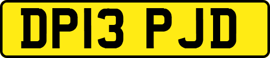 DP13PJD