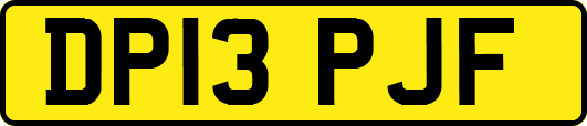 DP13PJF