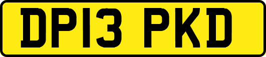 DP13PKD