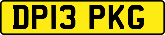 DP13PKG