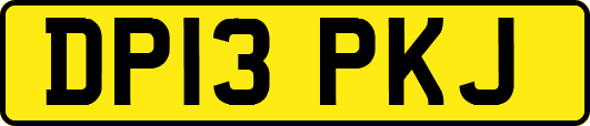 DP13PKJ