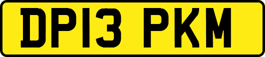 DP13PKM