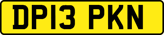 DP13PKN